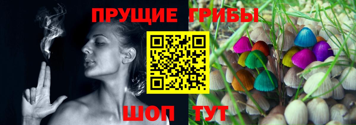 Приморско-Ахтарск  купить  сайты  Вход с VPN  Псилоцибиновые грибы Psilocybine cubensis 