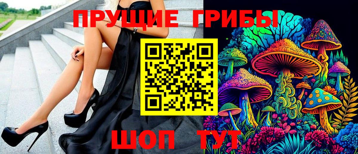 Псилоцибиновые грибы Psilocybe Приморско-Ахтарск
